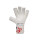 ELITE SPORT LION 9